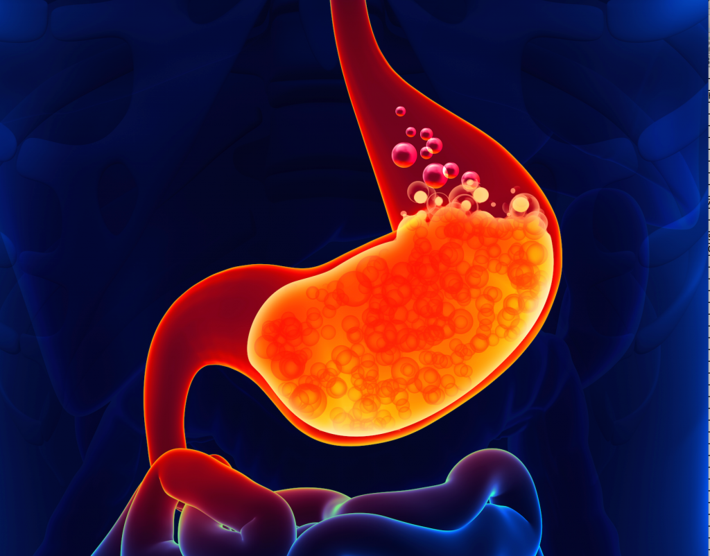 gastric-acid-1-1024x802